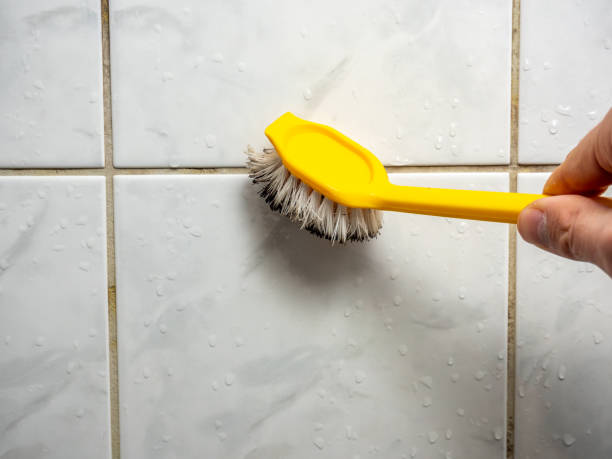 Best Affordable Mold Removal  in Durand, MI