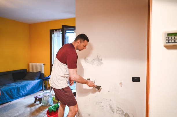 Best Commercial Mold Removal  in Durand, MI