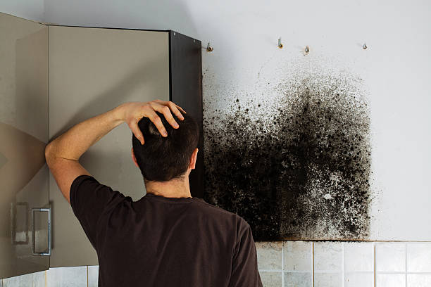 Best Residential Mold Removal  in Durand, MI