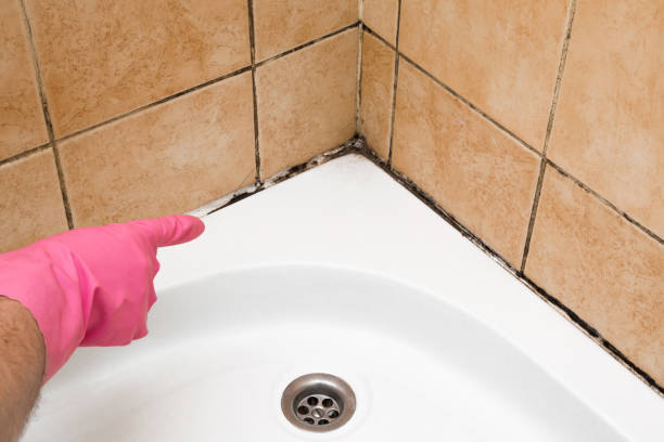 Best Mold Testing  in Durand, MI